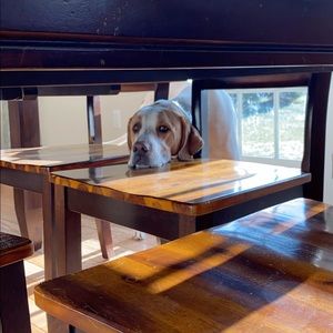 Meet your Posher, Debbie